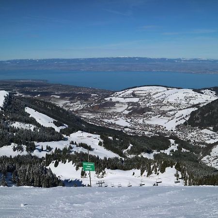 Appartement T2 A Bernex Avec Wifi, Vue Sur Montagne Buitenkant foto