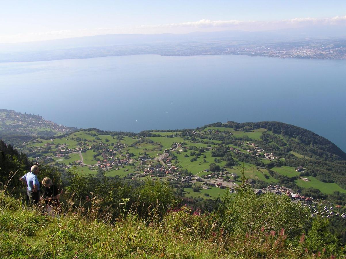 Appartement T2 A Bernex Avec Wifi, Vue Sur Montagne Buitenkant foto