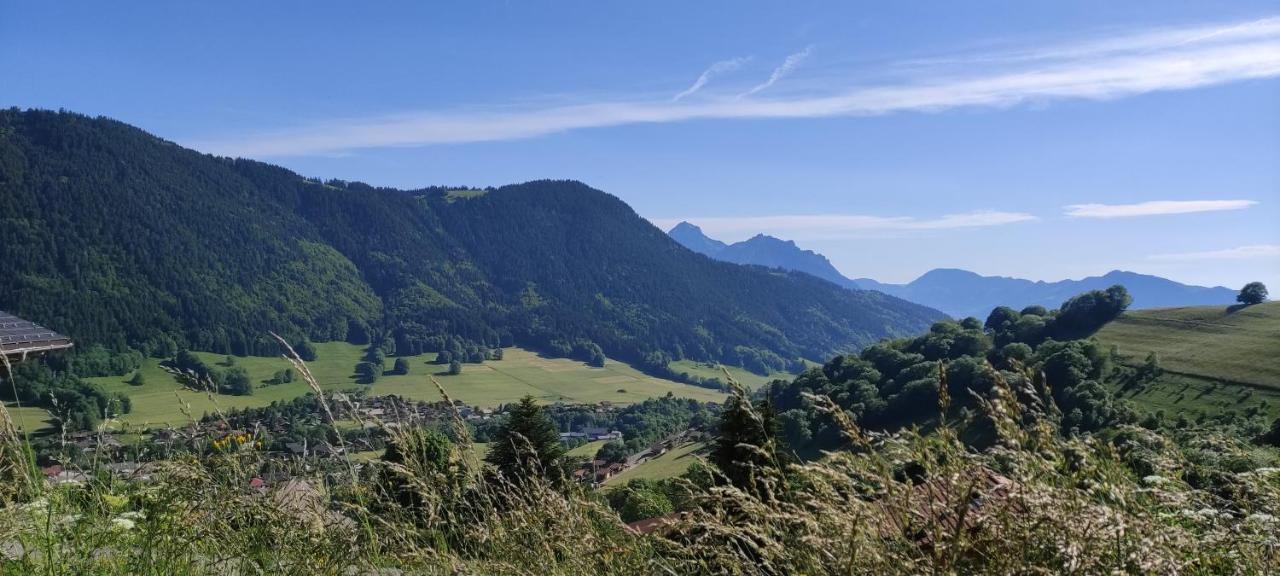 Appartement T2 A Bernex Avec Wifi, Vue Sur Montagne Buitenkant foto