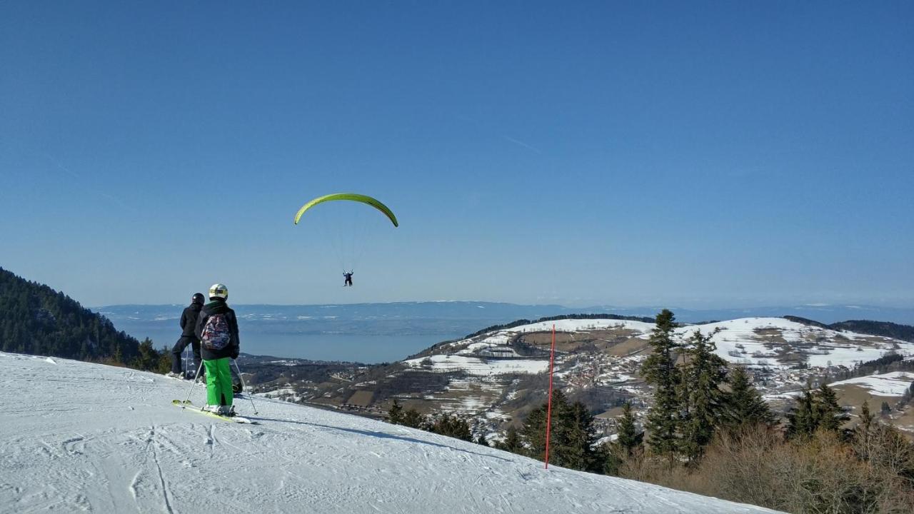 Appartement T2 A Bernex Avec Wifi, Vue Sur Montagne Buitenkant foto
